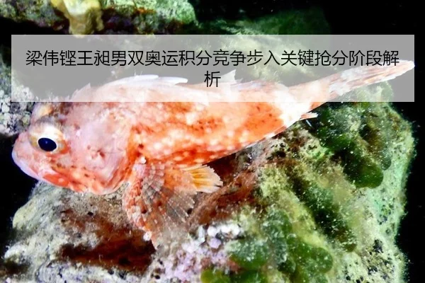 liang-wei-keng-wang-chang-nan-shuang-ao-yun-ji-fen-jing-zheng-bu-ru-guan-jian-qiang-fen-jie-duan-jie-xi-2-400.jpg